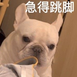 ergggdftffdh435435